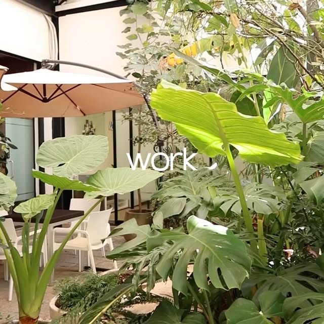 Espacio de trabajo de Grou Co orientado a productividad
