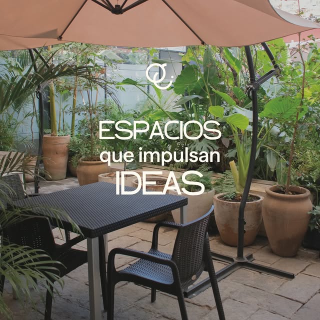 Terraza de Grou Co con plantas, sombrilla y mesas
